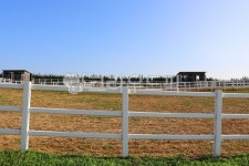 안성팜랜드, 공원, 농원, 초원, 벌판, 사진,이미지,일러스트,캘리그라피 - 청랑작가 크라우드픽 - 저작권 걱정 없는 상업용 이미지