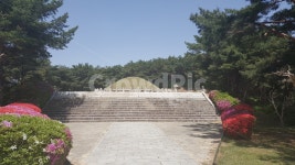 고분, 김유신장군묘, 식물, 나무, 꽃, 사진,이미지,일러스트,캘리그라피 - 레브작가 크라우드픽 - 저작권 걱정 없는 상업용 이미지