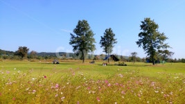 공원, outdoors, 옥외, grassland, field, 사진,이미지,일러스트,캘리그라피 - 행복사업작가 크라우드픽 - 저작권 걱정 없는 상업용 이미지