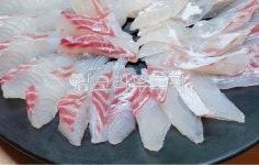 참돔회, 황돔회, 돔회, 돔, 황돔, 사진,이미지,일러스트,캘리그라피 - 먹방작가 크라우드픽 - 저작권 걱정 없는 상업용 이미지