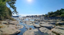 제주, 서귀포, 자연, nature, 옥외, 사진,이미지,일러스트,캘리그라피 - 쓰리에스작가 크라우드픽 - 저작권 걱정 없는 상업용 이미지