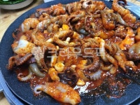 쭈꾸미, 용두동쭈꾸미, 술안주, 쭈꾸미볶음, dish, 사진,이미지,일러스트,캘리그라피 - 싱클레어작가 크라우드픽 - 저작권 걱정 없는 상업용 이미지