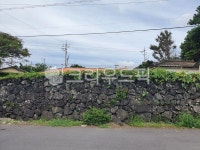 wall, 벽, 돌담, 제주돌담, 담벼락, 사진,이미지,일러스트,캘리그라피 - jihyeonk63작가 크라우드픽 - 저작권 걱정 없는 상업용 이미지