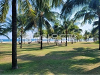 여름, 여름의, 여름감성, 휴양지, 야자수, 사진,이미지,일러스트,캘리그라피 - raining_sea작가 크라우드픽 - 저작권 걱정 없는 상업용 이미지