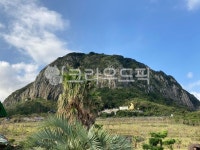 산방산, 제주, 제주도, 서귀포, 섬, 사진,이미지,일러스트,캘리그라피 - 초코빵작가 크라우드픽 - 저작권 걱정 없는 상업용 이미지