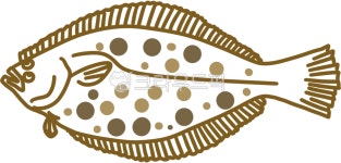 물고기, 가자미, 바다물고기, 생선, 횟집, 사진,이미지,일러스트,캘리그라피 - daldadraw작가 크라우드픽 - 저작권 걱정 없는 상업용 이미지