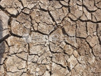 토양, 지면, soil, ground, 조직, 사진,이미지,일러스트,캘리그라피 - 꼬맹이123작가 크라우드픽 - 저작권 걱정 없는 상업용 이미지