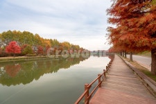 낙엽, 가을, 단풍, 관방제림, 반영, 사진,이미지,일러스트,캘리그라피 - 집시작가 크라우드픽 - 저작권 걱정 없는 상업용 이미지