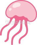해파리, 귀여운해파리, 아기해파리, 바다생물, 해양생물, 사진,이미지,일러스트,캘리그라피 - enjjin작가 크라우드픽 - 저작권 걱정 없는 상업용... 