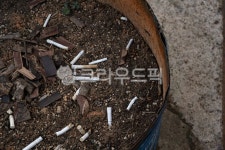 담배꽁초, 버려진담배, 흙바닥, 폐기물, 거리쓰레기, 사진,이미지,일러스트,캘리그라피 - 검정색작가 크라우드픽 - 저작권 걱정 없는 상업용 이미지