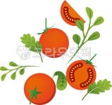 토마토, 방울토마토, 채소, 잎, 식물, 사진,이미지,일러스트,캘리그라피 - hye113작가 크라우드픽 - 저작권 걱정 없는 상업용 이미지