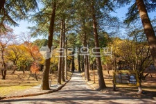 양산, 법기수원지, 산책길, 산책로, 공원, 사진,이미지,일러스트,캘리그라피 - WMP2021작가 크라우드픽 - 저작권 걱정 없는 상업용 이미지