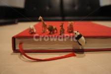 미니어처, 동물미니어처, 동물인형, miniature, animalminiature, 사진,이미지,일러스트,캘리그라피 - 메리작가 크라우드픽 - 저작권 걱정... 