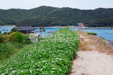수영성, 영보정, 충청보령수영성, 오천항, 성곽, 사진,이미지,일러스트,캘리그라피 - Deep bLUE작가 크라우드픽 - 저작권 걱정 없는 상업용 이미지