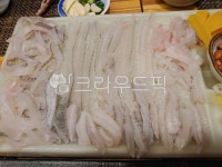 이박사세꼬시초밥 | 세꼬시, 음식, 회, food, 스시, 사진,이미지,일러스트,캘리그라피 - 둥똘댕작가 크라우드픽 - 저작권 걱정 없는 상업용 이미지