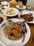 간장게장, 게장, 음식, food, 식사, 사진,이미지,일러스트,캘리그라피 - Paraparaj작가 크라우드픽 - 저작권 걱정 없는 상업용 이미지