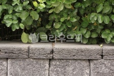 배경, background, wall, 벽, 나무, 사진,이미지,일러스트,캘리그라피 - joyfulharu작가 크라우드픽 - 저작권 걱정 없는 상업용 이미지