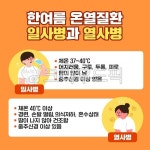 일러스트, 디자인, 웹소스, 소스, 웹활용, 사진,이미지,일러스트,캘리그라피 - DAWOOL작가 크라우드픽 - 저작권 걱정 없는 상업용 이미지