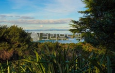 뉴질랜드, 뉴질랜드풍경, 산속정자, 뉴질랜드자연, 오클랜드, 사진,이미지,일러스트,캘리그라피 - Ariart작가 크라우드픽 - 저작권 걱정 없는... 