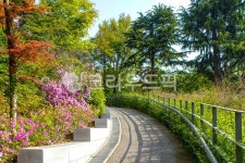 서울, 안암동, 고려대학교, 고려대, 고대, 사진,이미지,일러스트,캘리그라피 - imlover작가 크라우드픽 - 저작권 걱정 없는 상업용 이미지