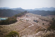 봄, 매화, 꽃, 농장, 자연, 사진,이미지,일러스트,캘리그라피 - sangminisnap작가 크라우드픽 - 저작권 걱정 없는 상업용 이미지