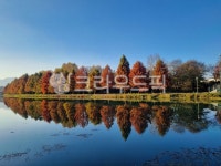 담양, 단풍, 관방제림, 가을단풍, 가을담양, 사진,이미지,일러스트,캘리그라피 - lhszone08작가 크라우드픽 - 저작권 걱정 없는 상업용 이미지