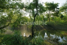 금강로하스, 대전광역시대덕구미호동, 로하스의봄, 대청호오백리길, 금강, 사진,이미지,일러스트,캘리그라피 - 순딩이작가 크라우드픽 - 저작권... 