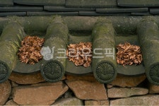 한국적, 전통적, 담장, 담벼락, 이끼, 사진,이미지,일러스트,캘리그라피 - Nsuk0293작가 크라우드픽 - 저작권 걱정 없는 상업용 이미지