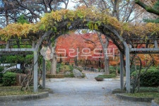 서울, 회기동, 대학교, 캠퍼스, 서울캠퍼스, 사진,이미지,일러스트,캘리그라피 - imlover작가 크라우드픽 - 저작권 걱정 없는 상업용 이미지