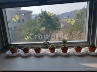 작은꽃, 창가풍경, 봄소식, 화분, 꽃, 사진,이미지,일러스트,캘리그라피 - Nwoozooin7706작가 크라우드픽 - 저작권 걱정 없는 상업용 이미지