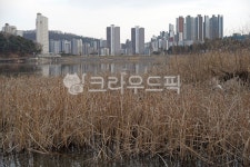 광교호수공원, 원천호수, 호수공원, 호수, 저수지, 사진,이미지,일러스트,캘리그라피 - Deep bLUE작가 크라우드픽 - 저작권 걱정 없는 상업용... 