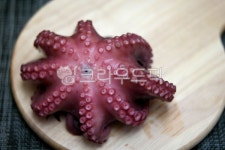 돌문어, 문어, 문어회, 숙회, 요리, 사진,이미지,일러스트,캘리그라피 - 인동초작가 크라우드픽 - 저작권 걱정 없는 상업용 이미지