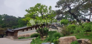 garden, 정원, outdoors, 옥외, 석파정, 사진,이미지,일러스트,캘리그라피 - 아르테미스092작가 크라우드픽 - 저작권 걱정 없는 상업용 이미지