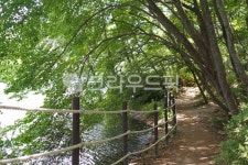 창원, 봉암수원지, 6월, 마산, 산책, 사진,이미지,일러스트,캘리그라피 - oksmile작가 크라우드픽 - 저작권 걱정 없는 상업용 이미지