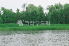 물, water, 땅, outdoors, 옥외, 사진,이미지,일러스트,캘리그라피 - mooha작가 크라우드픽 - 저작권 걱정 없는 상업용 이미지