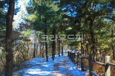 매봉산, 길, 도로, 산책로, 옥외, 사진,이미지,일러스트,캘리그라피 - imlover작가 크라우드픽 - 저작권 걱정 없는 상업용 이미지