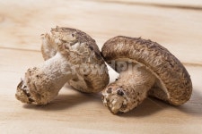 버섯, 표고버섯, 송이버섯, 송고버섯, 식품, 사진,이미지,일러스트,캘리그라피 - natsu u작가 크라우드픽 - 저작권 걱정 없는 상업용 이미지