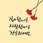 카네이션, 감사, 사랑, 건강, 꽃, 사진,이미지,일러스트,캘리그라피 - green seed작가 크라우드픽 - 저작권 걱정 없는 상업용 이미지