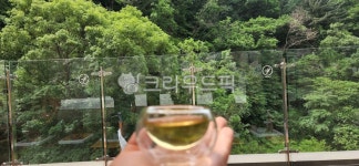 휴양림, 숲, 티타임, 힐링, 나무, 사진,이미지,일러스트,캘리그라피 - poohshelike작가 크라우드픽 - 저작권 걱정 없는 상업용 이미지