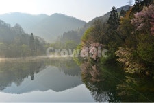 전남, 화순, 세량지, 세량제, 저수지, 사진,이미지,일러스트,캘리그라피 - 영산공작가 크라우드픽 - 저작권 걱정 없는 상업용 이미지