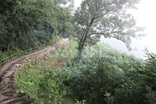 공주산성, 산성, 성, 성곽, 길, 사진,이미지,일러스트,캘리그라피 - 함께사는세상작가 크라우드픽 - 저작권 걱정 없는 상업용 이미지