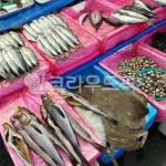 생선, 고등어, 5일장생선, 장터시장, 생선가게, 사진,이미지,일러스트,캘리그라피 - Nbillymomkoc작가 크라우드픽 - 저작권 걱정 없는 상업용... 