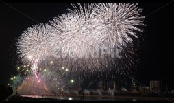 불꽃놀이, 포항불빛축제, 폭죽, 화려함, 축제, 사진,이미지,일러스트,캘리그라피 - 반짝빛땡바작가 크라우드픽 - 저작권 걱정 없는 상업용 이미지