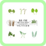 일러스트, 그림, 곰취, 고사리, 곤드레, 사진,이미지,일러스트,캘리그라피 - 스트로크제이작가 크라우드픽 - 저작권 걱정 없는 상업용 이미지