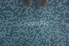 발, 수영장, 바닥, 물속, 물놀이, 사진,이미지,일러스트,캘리그라피 - H2080작가 크라우드픽 - 저작권 걱정 없는 상업용 이미지