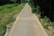 길, road, 산책로, street, 한적한길, 사진,이미지,일러스트,캘리그라피 - 꼬규작가 크라우드픽 - 저작권 걱정 없는 상업용 이미지