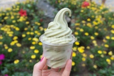 icecream, 아이스크림, 디저트, 보성, 녹차밭, 사진,이미지,일러스트,캘리그라피 - 쓰언작가 크라우드픽 - 저작권 걱정 없는 상업용 이미지