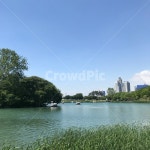 수성못, 대구, 오리배, 연못, 도시, 사진,이미지,일러스트,캘리그라피 - 쮸쮸작가 크라우드픽 - 저작권 걱정 없는 상업용 이미지
