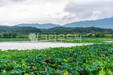 저수지, 호수, 자연, 경주, 대재저수지, 사진,이미지,일러스트,캘리그라피 - koyh작가 크라우드픽 - 저작권 걱정 없는 상업용 이미지