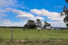 목장, 풍경, 초원, 축사, 젖소, 사진,이미지,일러스트,캘리그라피 - 신감독작가 크라우드픽 - 저작권 걱정 없는 상업용 이미지